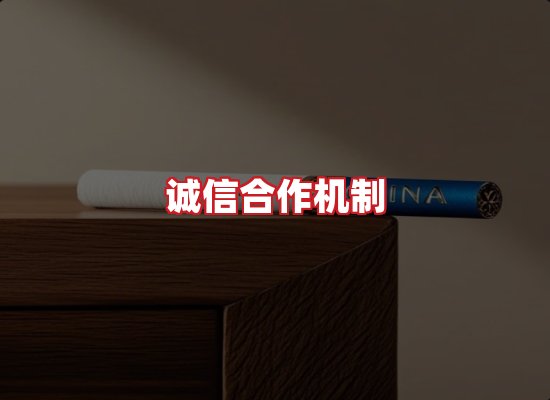 专业团队